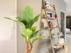 Libreria Libreria a terra di Devina nais: richiedi ora il prezzo riservato