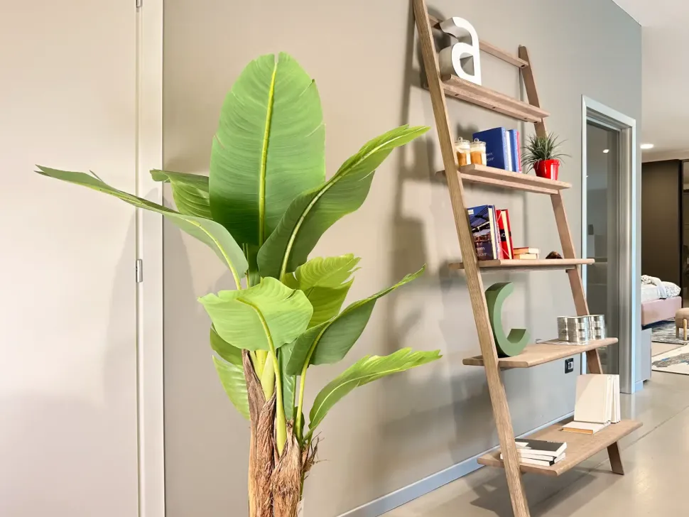 Libreria Libreria a terra di Devina nais: richiedi ora il prezzo riservato