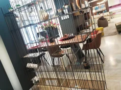 Libreria Metrica stile design di Mogg scontata del 25%