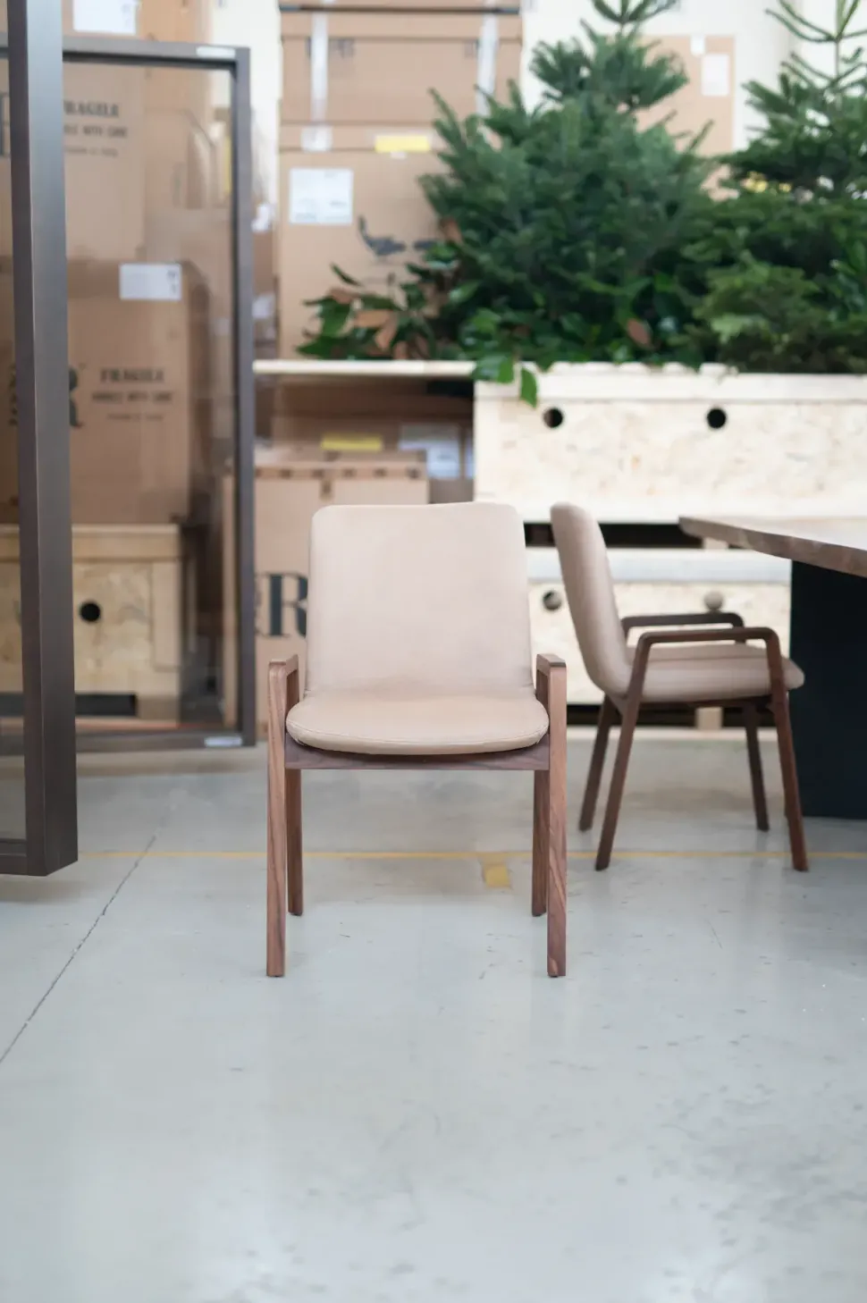 Sedia di Riva 1920 modello Noble da soggiorno in offerta -43%