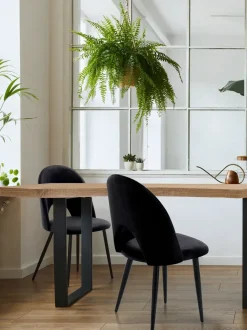 Sedia in tessuto poltroncina Sedia imbottita  in velluto modello nail in Offerta Outlet