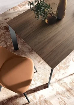 Tavolo rettangolare allungabile Aster * Ingenia