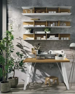 Tomasella: Libreria Raster a prezzo vantaggioso!